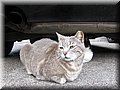 IMG_6600.JPG