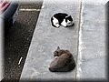 IMG_6602.JPG
