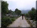 IMG_6958.JPG