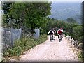 IMG_6959.JPG