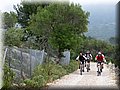 IMG_6961.JPG