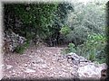 IMG_6972.JPG