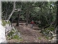 IMG_6985.JPG