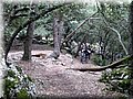IMG_6988.JPG