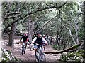 IMG_6990.JPG