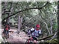 IMG_6993.JPG
