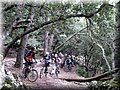 IMG_6994.JPG
