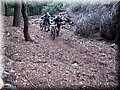 IMG_7001.JPG