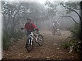 IMG_7004.JPG