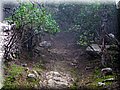 IMG_7010.JPG