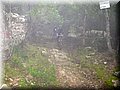 IMG_7013.JPG