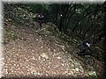 IMG_7014.JPG