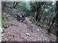 IMG_7015.JPG
