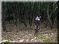 IMG_7021.JPG