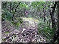 IMG_7022.JPG