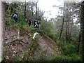 IMG_7026.JPG
