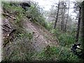 IMG_7028.JPG