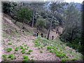 IMG_7034.JPG