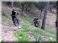 IMG_7036.JPG