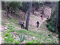 IMG_7038.JPG