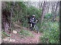 IMG_7040.JPG