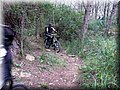 IMG_7041.JPG
