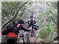 IMG_7048.JPG