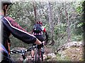 IMG_7049.JPG