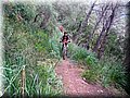 IMG_7055.JPG