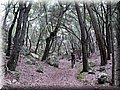 IMG_7297.JPG