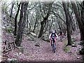 IMG_7300.JPG