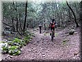 IMG_7304.JPG
