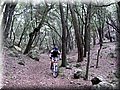 IMG_7305.JPG
