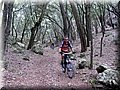 IMG_7306.JPG