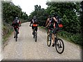 IMG_7309.JPG