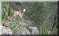 IMG_7317.JPG