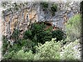 IMG_7401.JPG