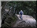 IMG_7793.JPG