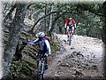 IMG_7795.JPG