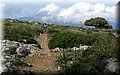IMG_7816.JPG