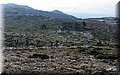 IMG_7821.JPG