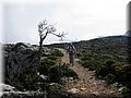 IMG_7843.JPG