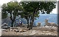 IMG_7871.JPG