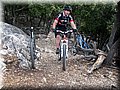 IMG_7884.JPG