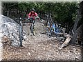 IMG_7885.JPG