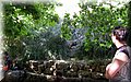 IMG_8067.JPG