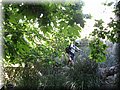 IMG_8071.JPG