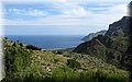 IMG_8079.JPG