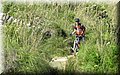 IMG_8090.JPG