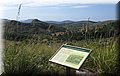 IMG_8093.JPG